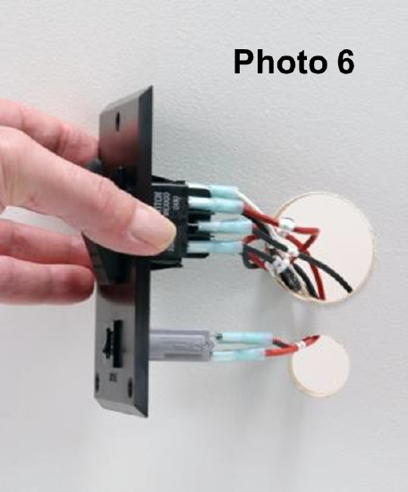 Photo 6.png
